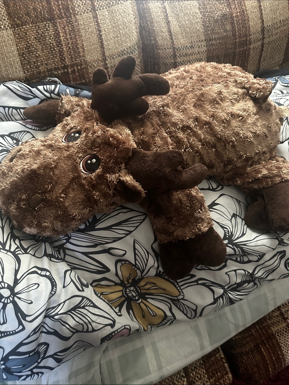 Plush Brown Moose Stuffed Animal - Soft Cuddly Toy